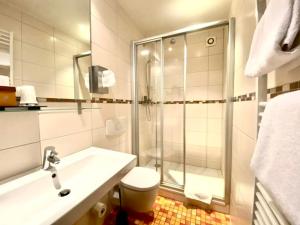 a bathroom with a shower and a toilet and a sink at Boutique Hotel & Bio Wirtshaus Schwarzer Bock in Ansbach