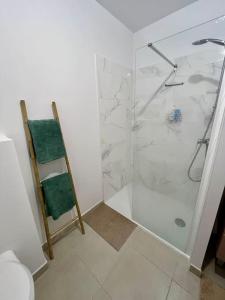 baño con ducha y puerta de cristal en Superbe appartement proche des pistes ! en Saint-Étienne-de-Tinée