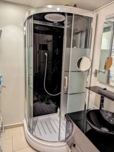 Phòng tắm tại Superbe appartement - rue privée