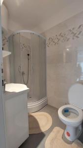 La salle de bains blanche est pourvue d'une douche et de toilettes. dans l'établissement Apartman Iris Srebrno jezero, à Veliko Gradište