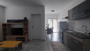 Eldhús eða eldhúskrókur á Apartman Iris Srebrno jezero
