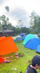 a group of umbrellas sitting in a field at X CampGround in Bukittinggi