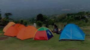 a group of tents sitting in the grass at X CampGround in Bukittinggi