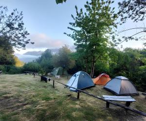 a group of tents parked in a field at X CampGround in Bukittinggi