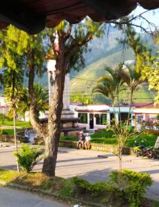 a view of a park with palm trees and a building at Casa Turística Líbano in Líbano