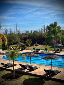 una piscina con tumbonas y sombrillas en Palais Riad Berbère en Marrakech