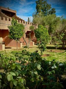 Zahrada ubytování Palais Riad Berbère