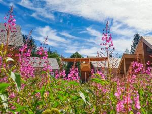 einen Garten mit rosa Blumen vor den Häusern in der Unterkunft Feriendorf Wasserkuppe 
