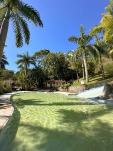 a pool of green water with palm trees in the background at Pousada J Country in Sana