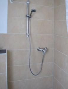 a shower with a shower head in a bathroom at Henneliebe am Hennesee in Meschede