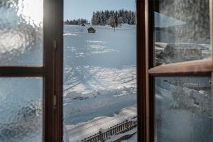 een raam met uitzicht op een met sneeuw bedekt veld bij Alpen-Nest Großarl in Grossarl