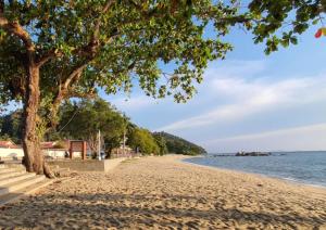 a beach with a tree and the water at ShopLot Hostel Pangkor in Pasir Bogak