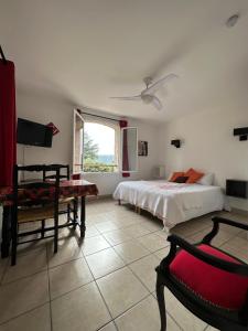 ein Schlafzimmer mit einem Bett, einem Stuhl und einem Fenster in der Unterkunft Le Mas de l'Orangerie 3 etoiles in Gréoux-les-Bains