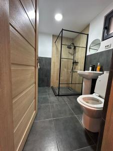 a bathroom with a shower and a toilet and a sink at Cabana Cerbului in Cluj-Napoca