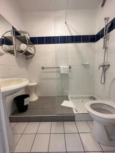 e bagno con doccia, servizi igienici e lavandino. di Le Mas de l'Orangerie 3 etoiles a Gréoux-les-Bains