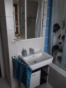 ein Bad mit einem Waschbecken, einem Spiegel und einer Dusche in der Unterkunft Bobis Ferienwohnung in Wildpoldsried