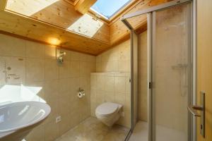 ein Bad mit einem WC, einer Dusche und einem Waschbecken in der Unterkunft Kinohaus 7 in Wengen