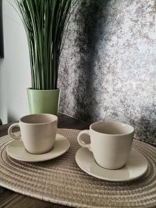 two cups on plates on a table with a vase at Apartament Widok Polana Szaflarska in Nowy Targ