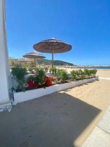 a patio with an umbrella and flowers on the beach at Marina Bay Beach Hotel in Peschici