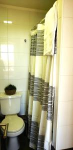 une salle de bain avec toilettes et rideau de douche dans l'établissement Mirador Uno, à Concepción 2 autres photos
