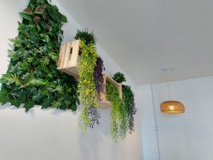 a green wall with plants on a wall at 3 Elements* The Garden* MRT2* Wifi* Self Check-In in Kampong Batu Sembilan
