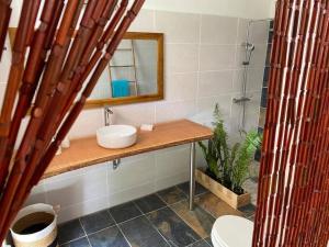 La salle de bains est pourvue d'un lavabo, de toilettes et d'un miroir. dans l'établissement Zayann Zen, à Gourbeyre