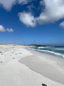 une plage de sable avec des empreintes sur le sable et l'océan dans l'établissement Punta de Choros Lodge, à Punta de Choros