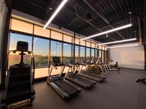 Fitness centrum a/nebo fitness zařízení v ubytování Landmark Motel