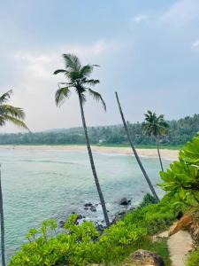 dos palmeras en una playa con el océano en Thalalla resort, en Talalla South