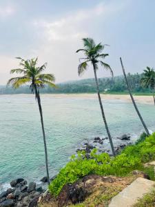 dos palmeras en la orilla de una playa en Thalalla resort, en Talalla South