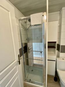 a glass shower in a bathroom with a toilet at Résidence des Sources in Vichy +73 photos