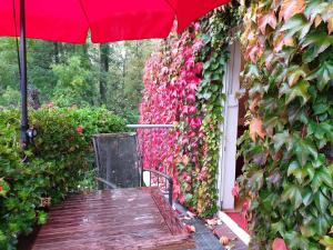 a patio with a red umbrella and a wooden table at Deichgräfin 4 in Horumersiel