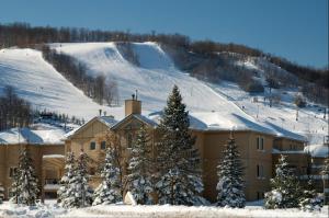 a building in the snow with snow covered trees at Mountainwalk in Blue Mountains