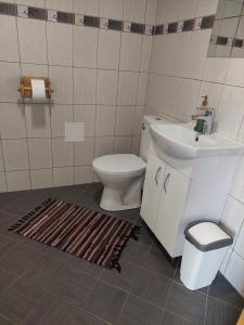 La salle de bains est pourvue de toilettes et d'un lavabo. dans l'établissement Rogosi mõisa apartment, à Ruusmäe