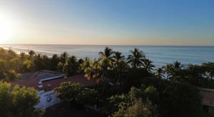- une vue sur la plage bordée de palmiers et l'océan dans l'établissement Konchamar, à La Libertad