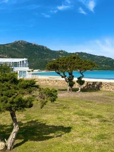 zwei Bäume auf einem Feld neben einem Strand in der Unterkunft Cala Reale Rooms Marinella in Marinella