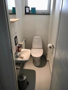 a small bathroom with a toilet and a sink at Hangvar Skola, Biblioteket in Lärbro