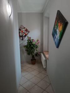 un pasillo con una planta y una pintura en la pared en sleep and go, en Parma