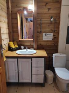 bagno con lavandino e servizi igienici di Le tri Haut de Bellevue - Bungalow Manguier a Pointe-Noire