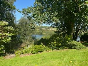 a grassy field with a lake and a tree at Fort William, Dripsey 