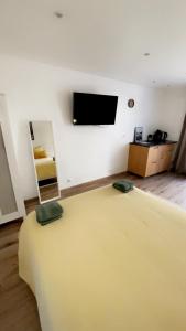 TV a/nebo společenská místnost v ubytování Chambre provençale