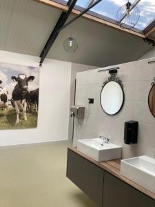 a bathroom with a sink and a mirror at Stacaravan op camping De Peelweide in Grashoek