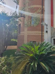 Zahrada ubytování Hotel Sirio