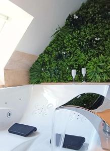 un planteur vert avec deux verres à vin au-dessus d'un évier dans l'établissement Bulle de douceur en hypercentre, à Quimper