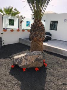 Fotografia z galérie ubytovania Luxury Villa sea front Costa Teguise v destinácii Costa Teguise
