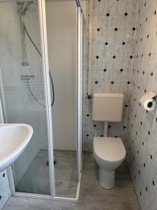 La salle de bains est pourvue d'une douche, de toilettes et d'un lavabo. dans l'établissement Kobbe, à Ballum