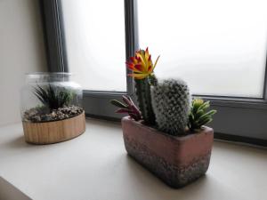 Gallery image of Le Petit Pré, Gîte chez l'habitant in Gizeux