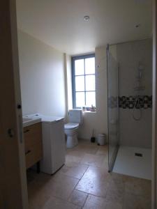 a bathroom with a toilet and a sink and a shower at Le Petit Pré, Gîte chez l'habitant in Gizeux