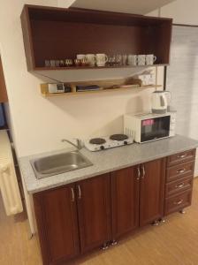 um balcão de cozinha com um lavatório e um micro-ondas em Ubytování u Boženky em Destné v Orlických horách