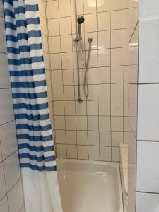 y baño con ducha y cortina azul y blanca. en City-Wohnung 12a, en Brühl
